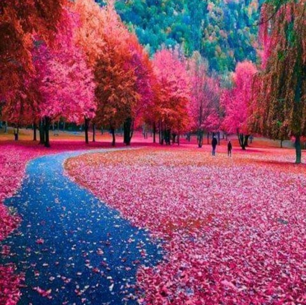 Meet your Posher, Luz